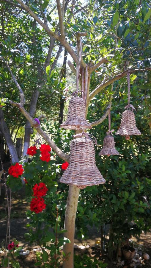 Garden Bungalow Valentina Stavros  Exterior photo